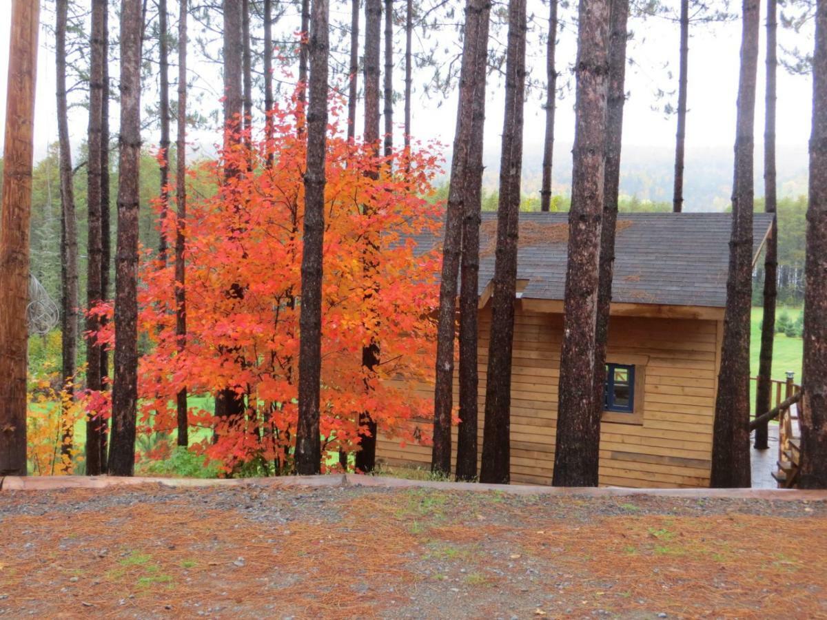 La Maison Sous Les Arbres Saint Roch de Mekinac Dış mekan fotoğraf