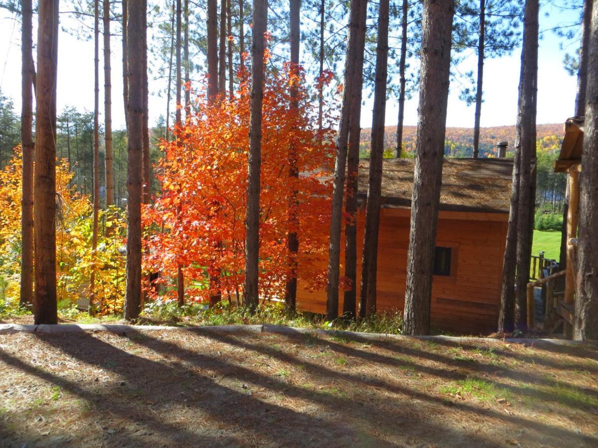 La Maison Sous Les Arbres Saint Roch de Mekinac Dış mekan fotoğraf