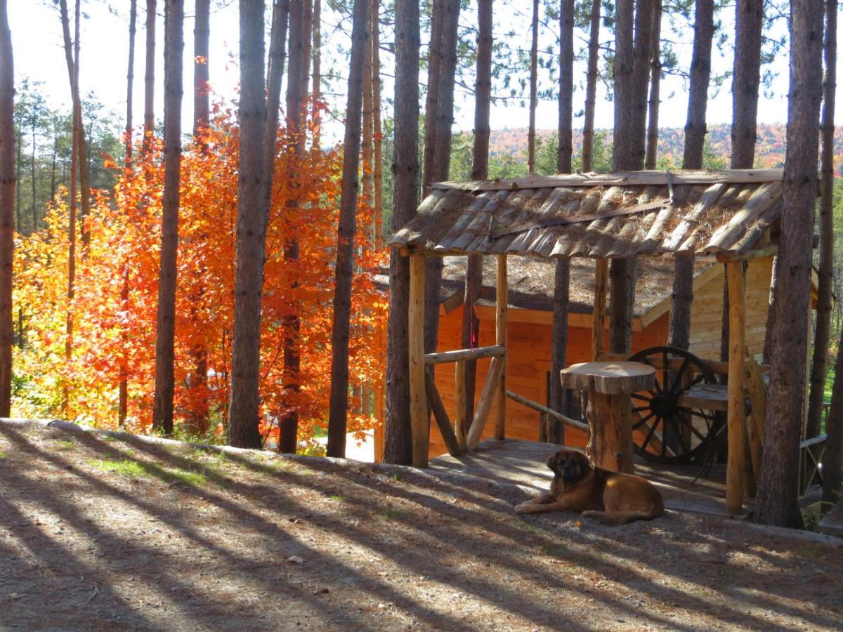 La Maison Sous Les Arbres Saint Roch de Mekinac Dış mekan fotoğraf